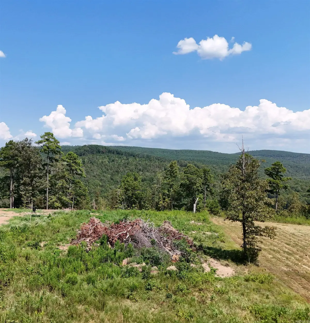 Address Withheld By Seller, Edgemont, AR 72044 - #1