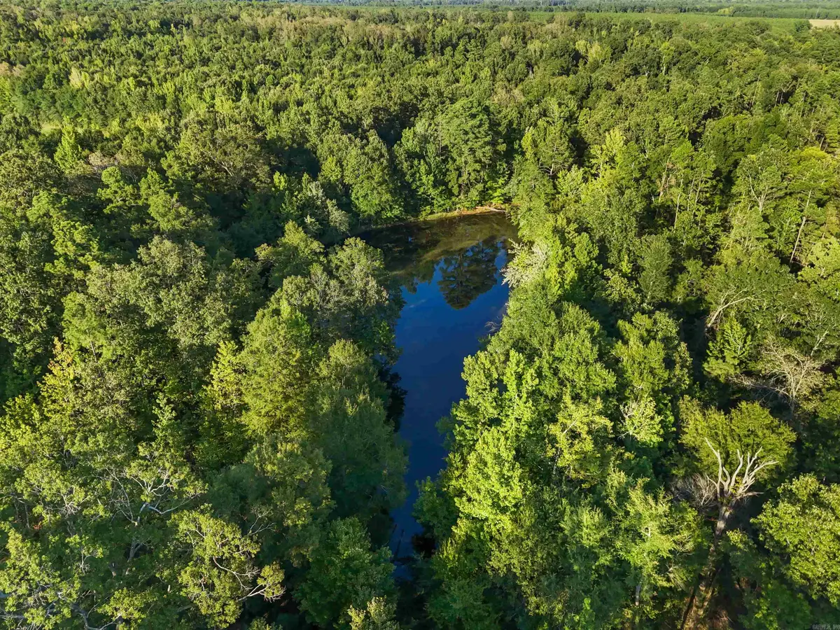 00 Highway 63 And Britt Road, Rison, AR 71665 - #1