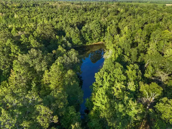 00 Highway 63 And Britt Road, Rison, AR 71665