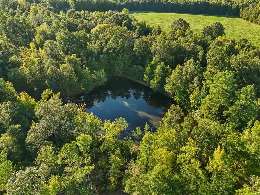 00 Highway 63 And Britt Road, Rison, AR 71665 - #2