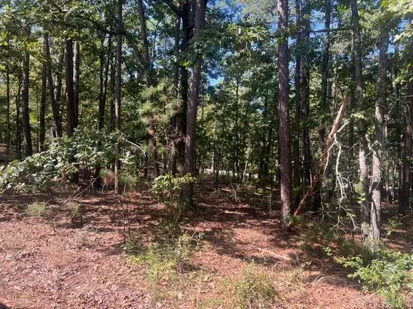 6 Zaragoza Lane, Hot Springs Village, AR 71909
