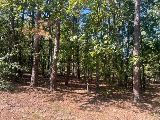 6 Zaragoza Lane, Hot Springs Village, AR 71909 - #2