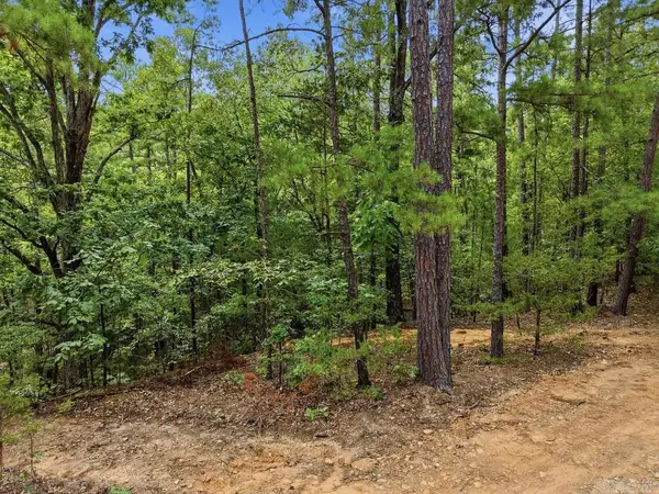 29 Jerry Lane, Quitman, AR 72131