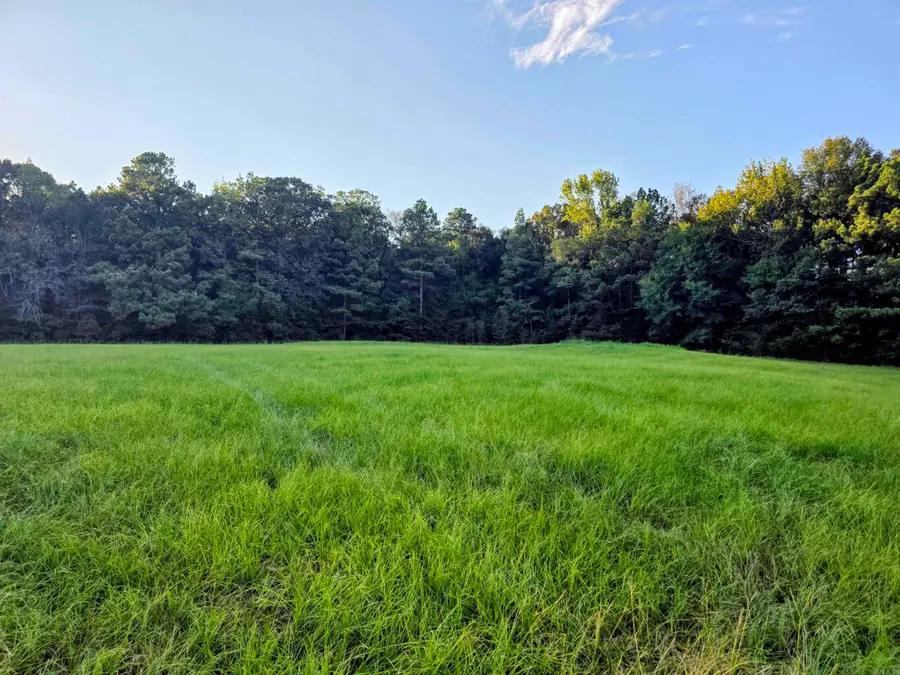 00 Hwy 63 Highway, Rison, AR 71665 - #3