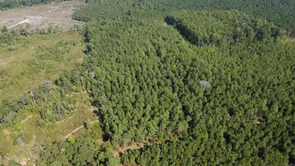 000 County Road 458 Road, Warren, AR 71671