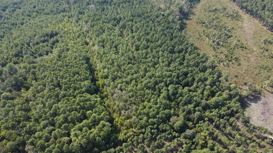 000 County Road 458 Road, Warren, AR 71671 - #3
