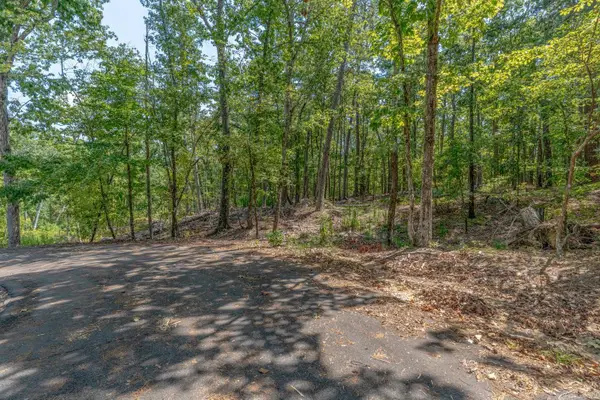 TBD Mesa Ln, Hot Springs Village, AR 71909