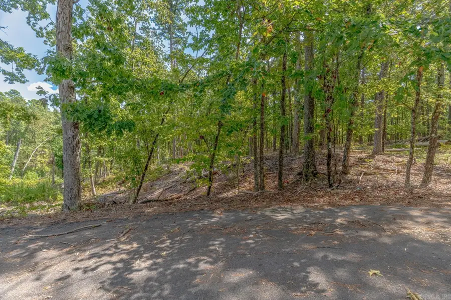 TBD Mesa Ln, Hot Springs Village, AR 71909 - #3