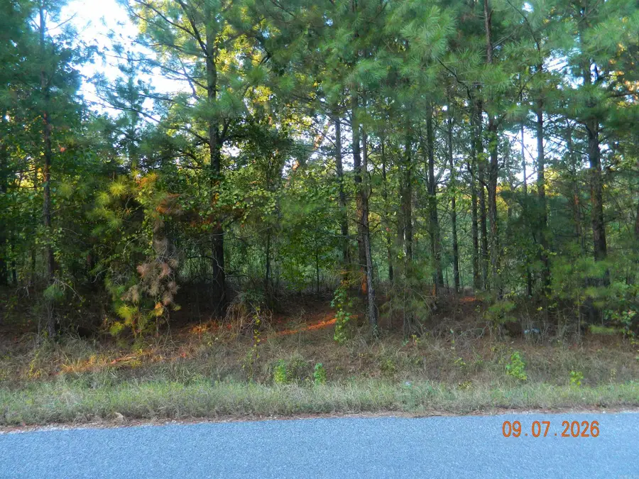 32 Robert Lee Drive Drive, Arkadelphia, AR 71923 - #2