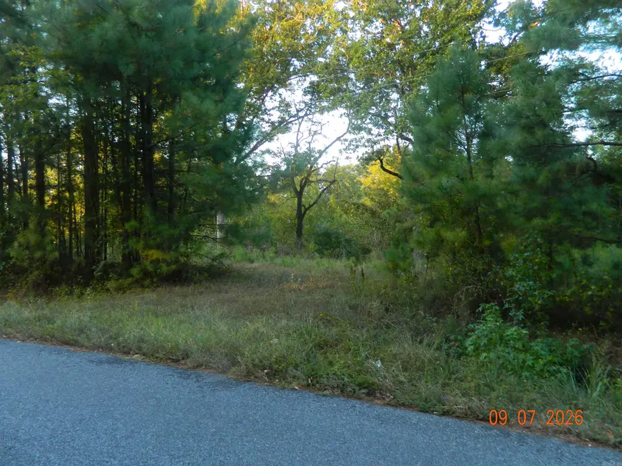 32 Robert Lee Drive Drive, Arkadelphia, AR 71923 - #3