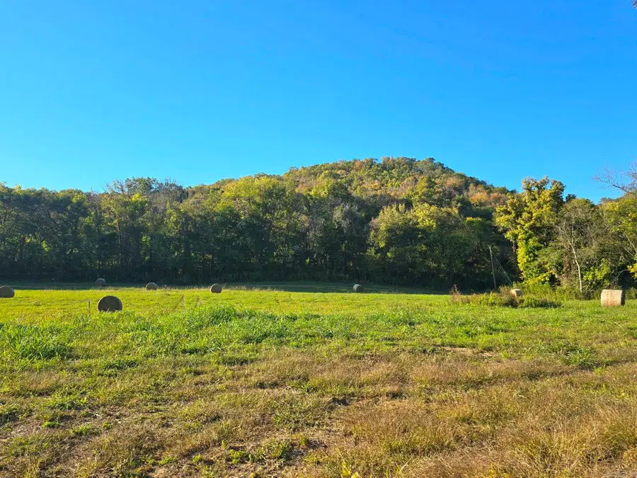 TBD W School House Hollow Road, Melbourne, AR 72556 - #3