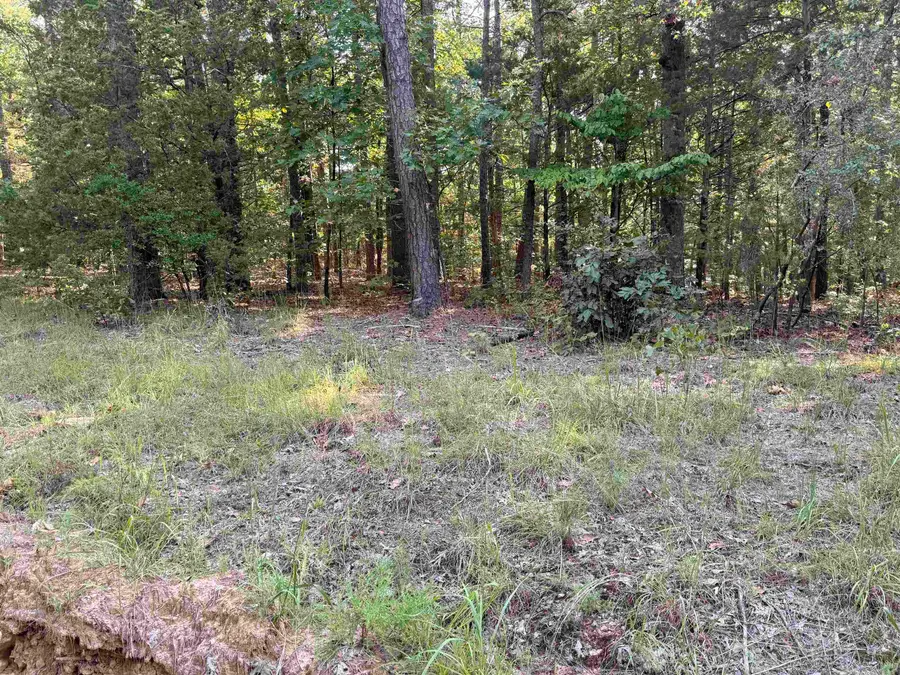 Lot 45 & n/2 46 Jerry Ln., Quitman, AR 72131 - #2