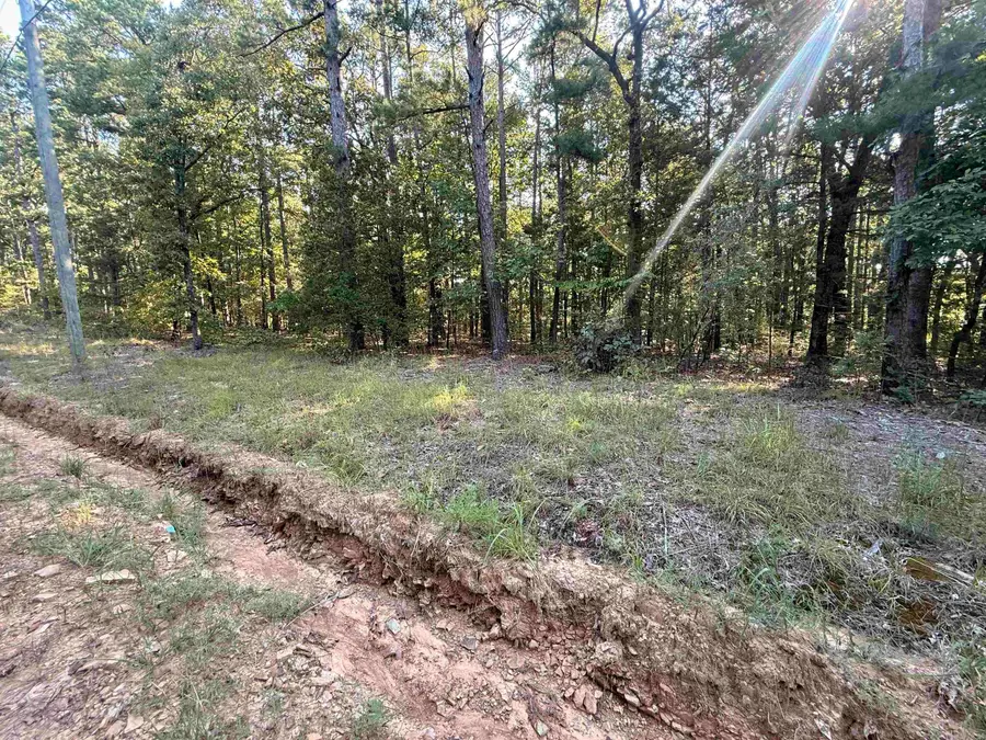 Lot 45 & n/2 46 Jerry Ln., Quitman, AR 72131 - #3