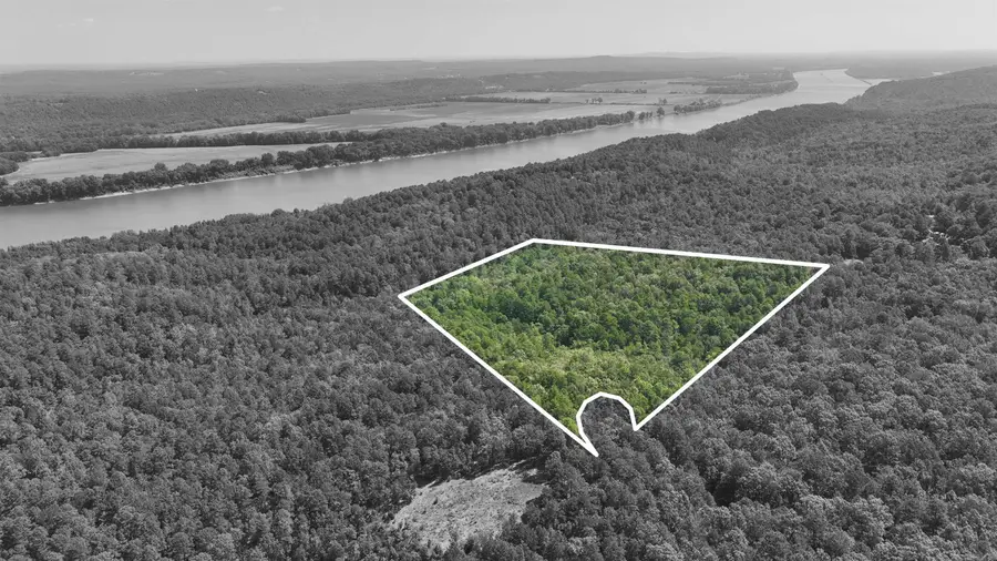 00 Willow Brook Lane, Bigelow, AR 72016 - #3