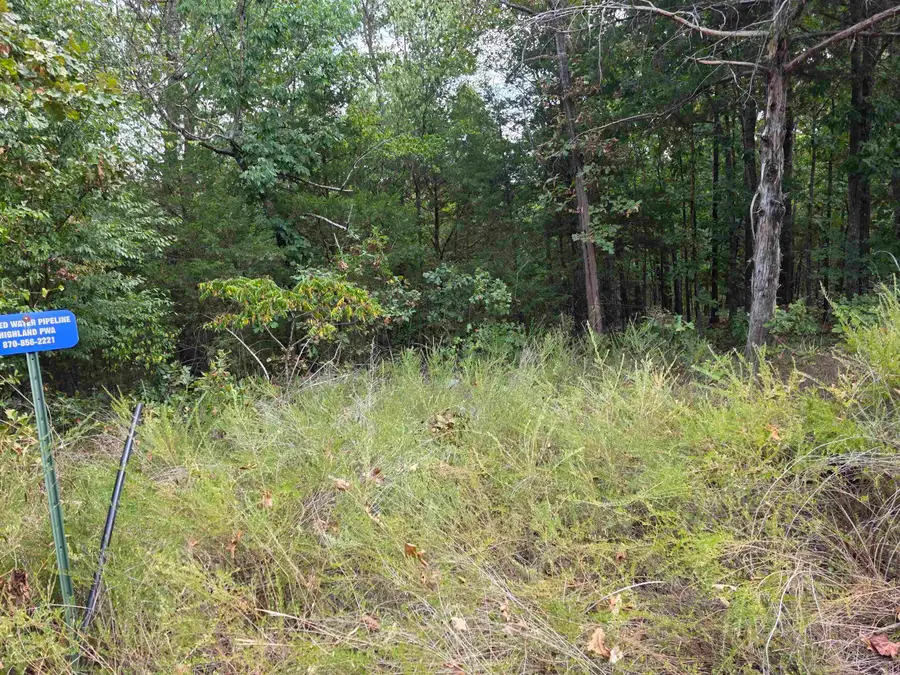 L42 B2 62/412 Highway, Hardy, AR 72542 - #2