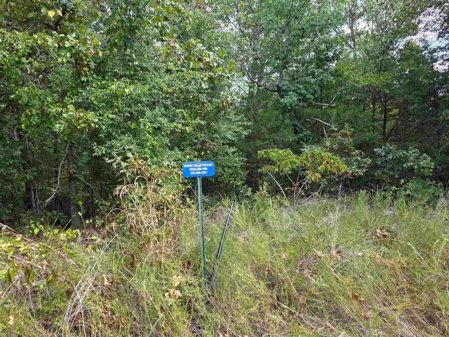 L42 B2 62/412 Highway, Hardy, AR 72542 - #3