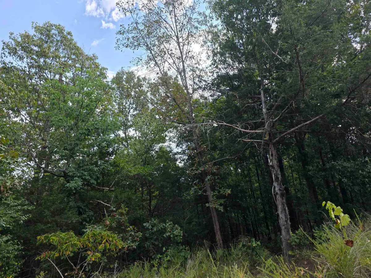 L8 B3 62/412 Highway, Hardy, AR 72542 - #1
