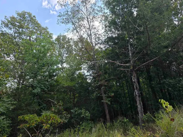 L8 B3 62/412 Highway, Hardy, AR 72542