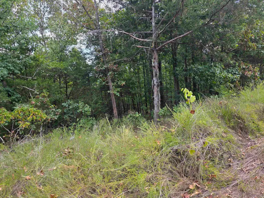 L8 B3 62/412 Highway, Hardy, AR 72542 - #2