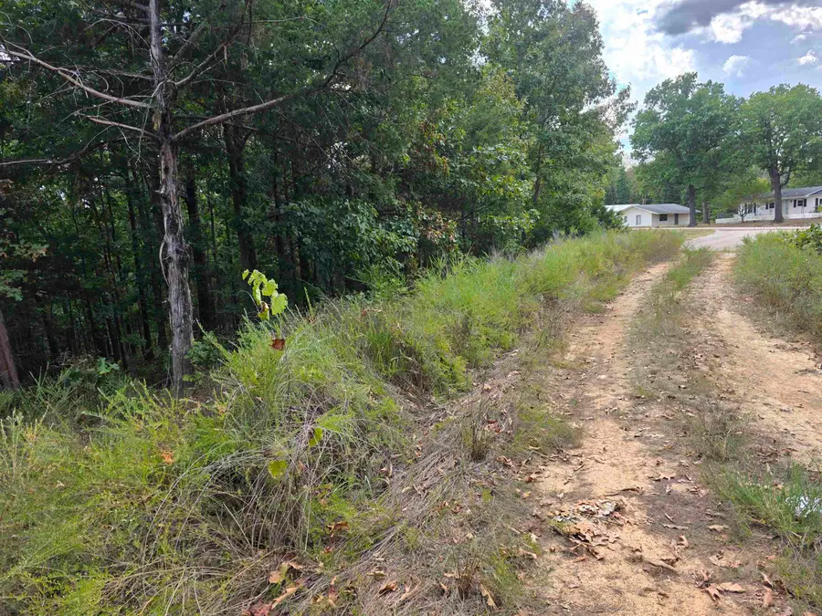 L8 B3 62/412 Highway, Hardy, AR 72542 - #3