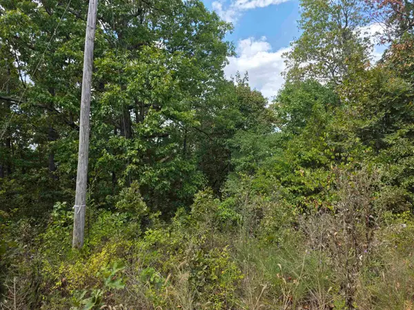 L24 B3 Old Cc Road, Hardy, AR 72542