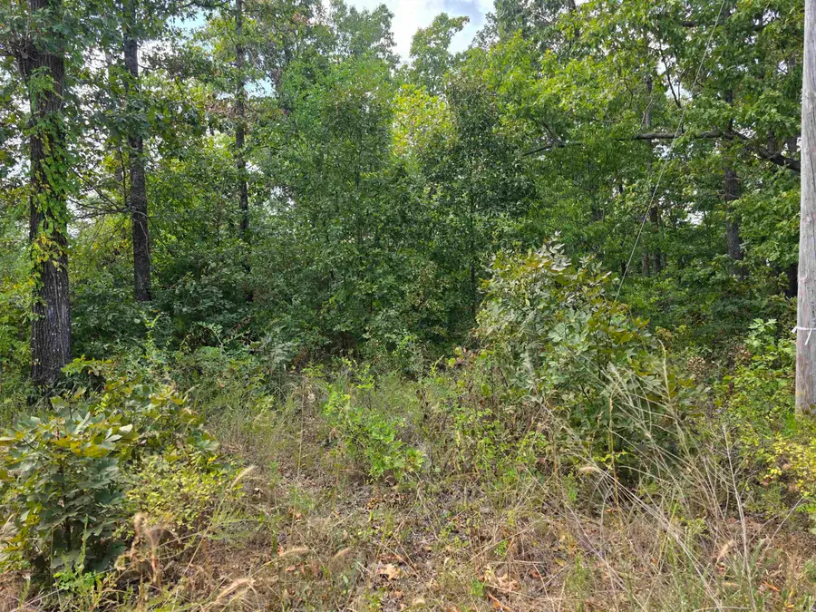 L24 B3 Old Cc Road, Hardy, AR 72542 - #2