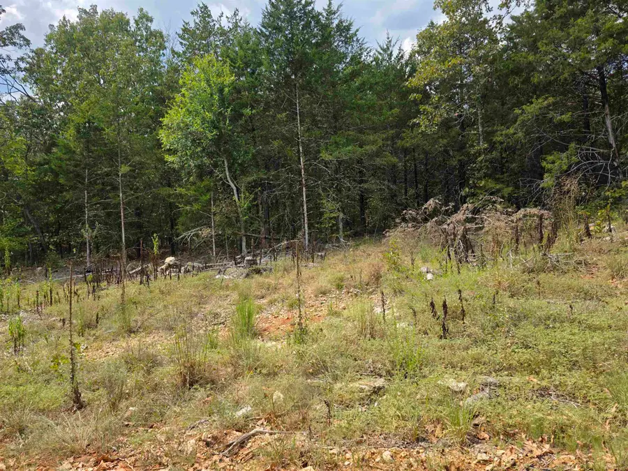 L38 B6 Old Cc Road, Hardy, AR 72542 - #2