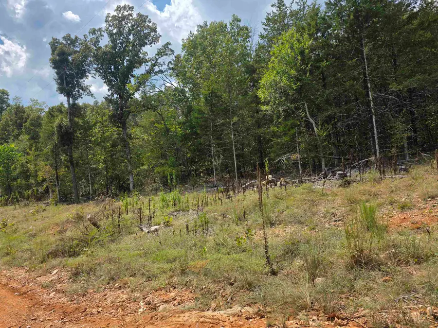 L38 B6 Old Cc Road, Hardy, AR 72542 - #3