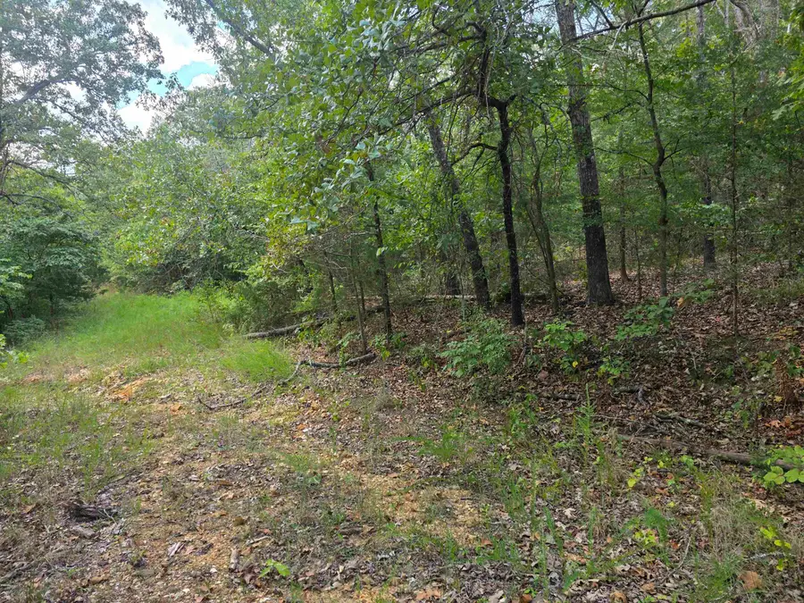 L9 B7 Buckskin Circle, Ozark Acres, AR 72482 - #2