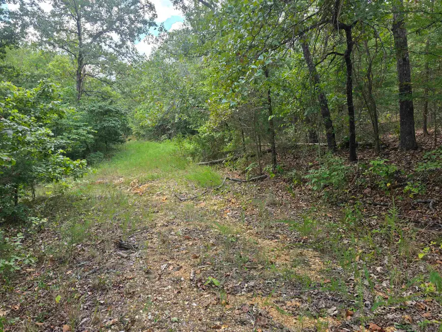 L9 B7 Buckskin Circle, Ozark Acres, AR 72482 - #3
