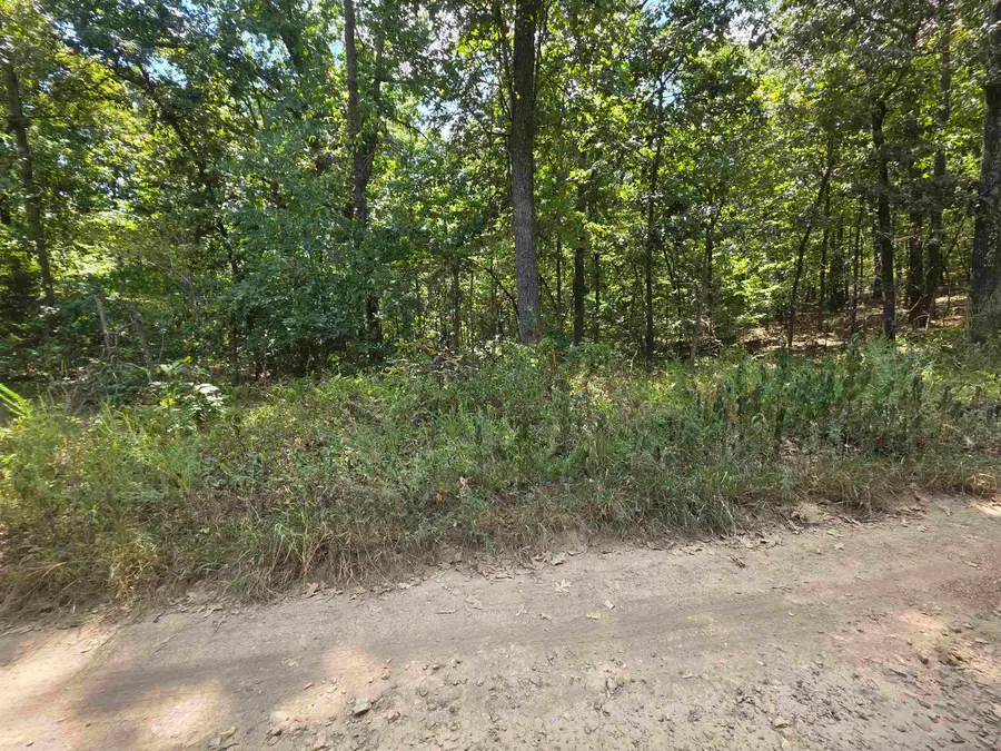 L8 B17 Hitching Post Road, Hardy Township, AR 72482 - #2