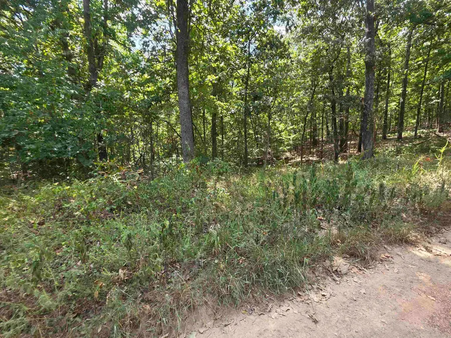 L8 B17 Hitching Post Road, Hardy Township, AR 72482 - #3