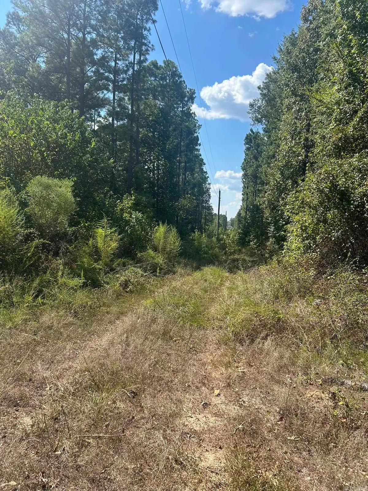 TBD Nevada 290, Prescott, AR 71857 - #1
