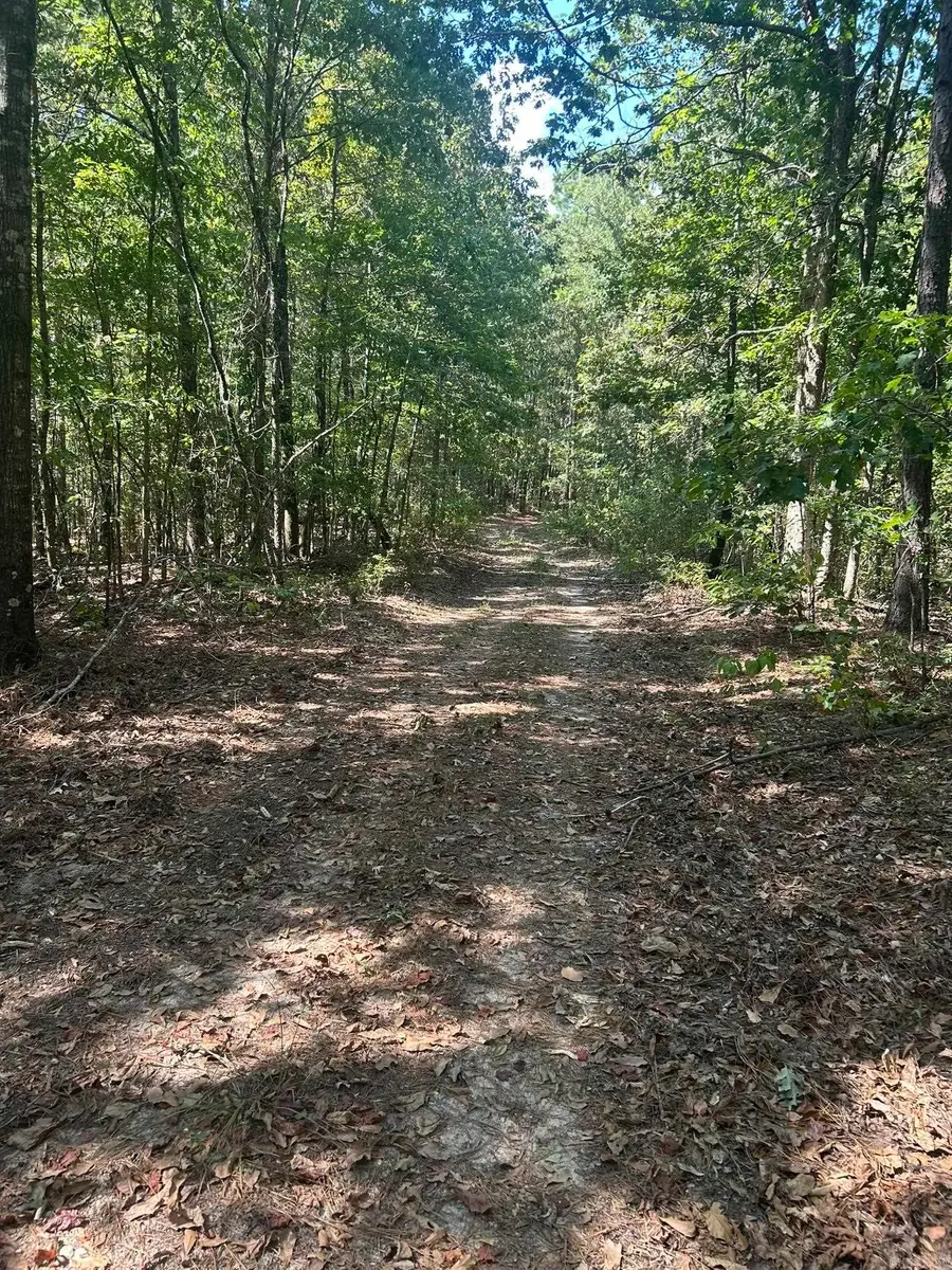 TBD Nevada 290, Prescott, AR 71857 - #3