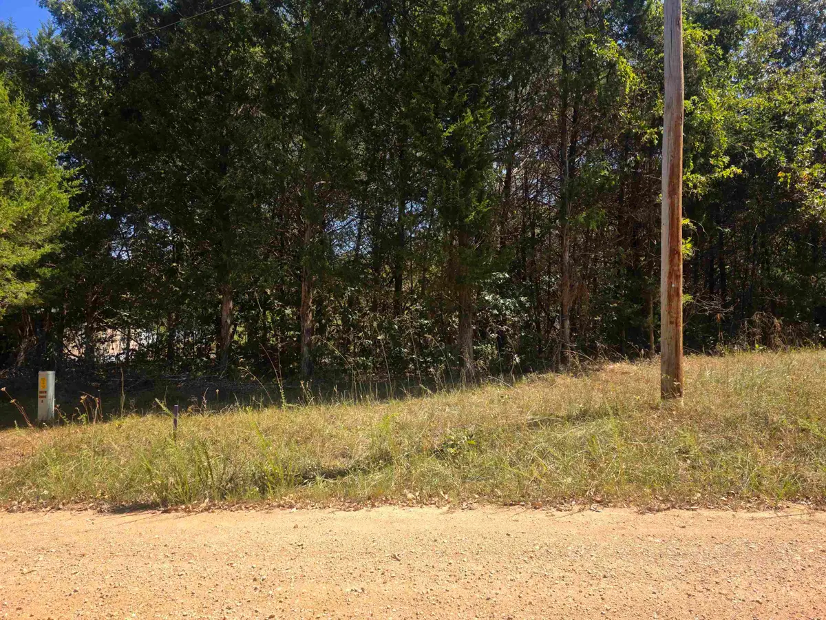 L31 B1 Adam Drive, Highland, AR 72542 - #1