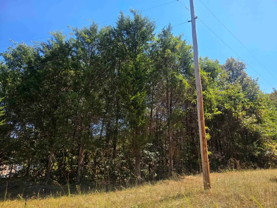 L31 B1 Adam Drive, Highland, AR 72542 - #2