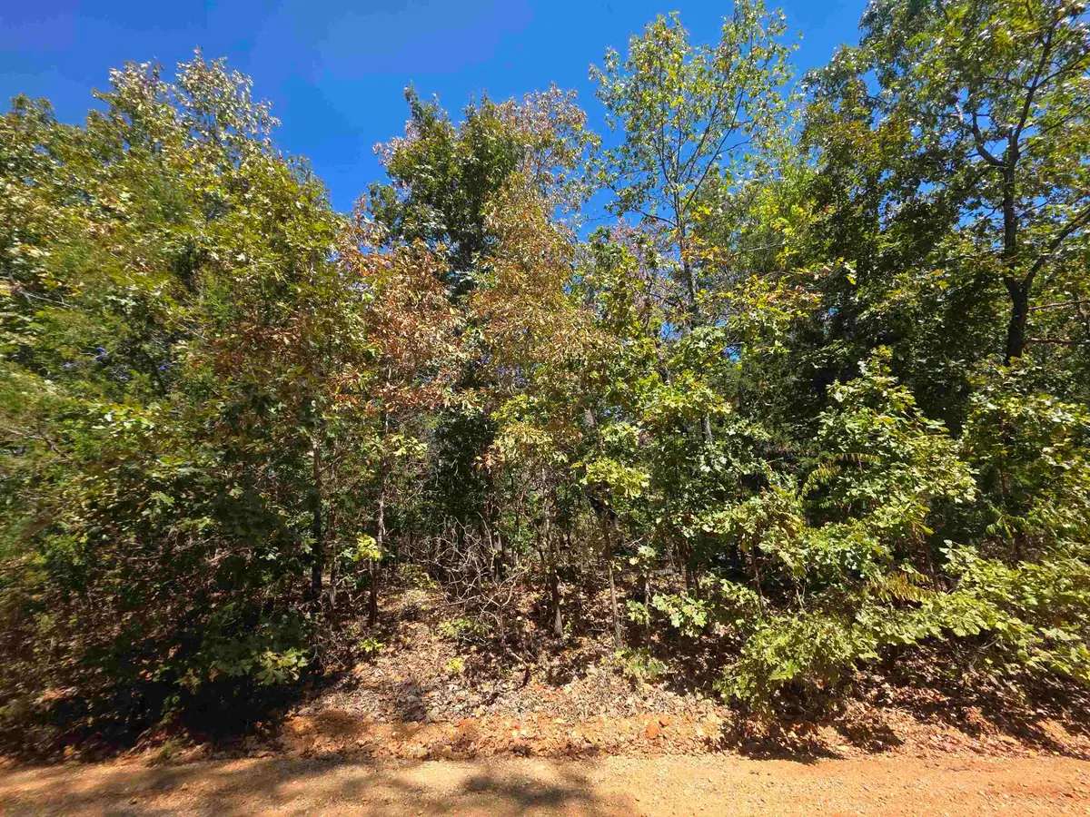 L4E B3 Ridgecrest Drive, Highland, AR 72542 - #1