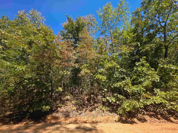 L4E B3 Ridgecrest Drive, Highland, AR 72542