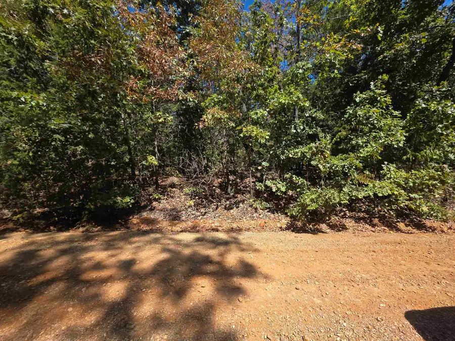 L4E B3 Ridgecrest Drive, Highland, AR 72542 - #2