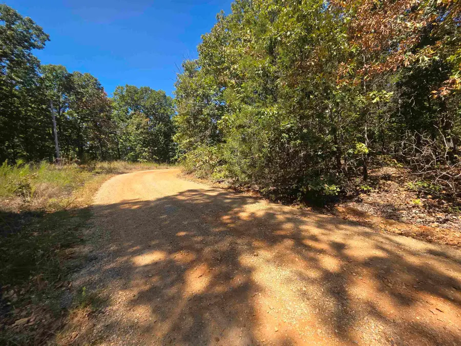 L4E B3 Ridgecrest Drive, Highland, AR 72542 - #3
