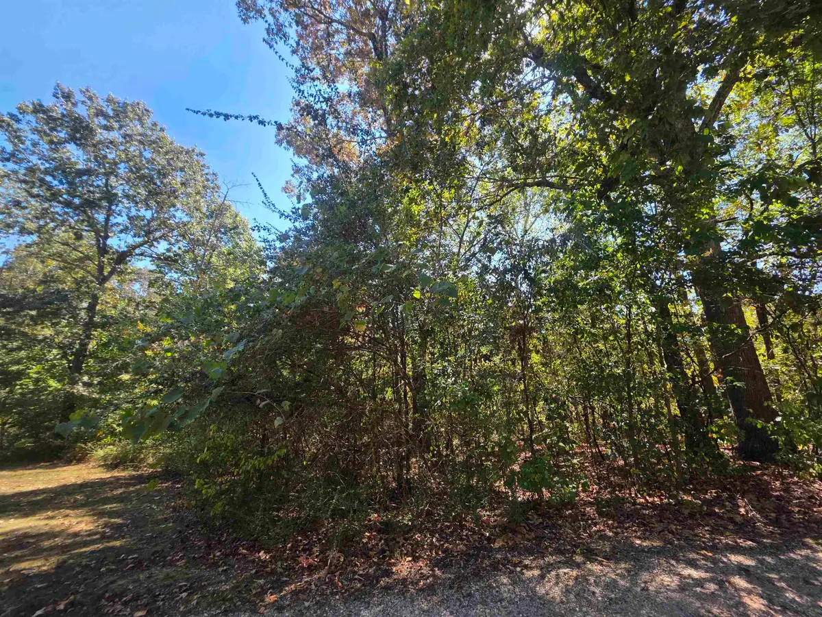 L1 B5 Timberlane Drive, Highland, AR 72542 - #1