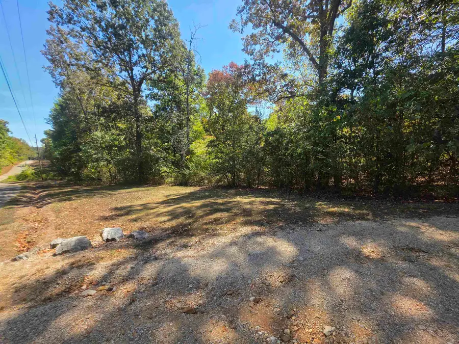 L1 B5 Timberlane Drive, Highland, AR 72542 - #2
