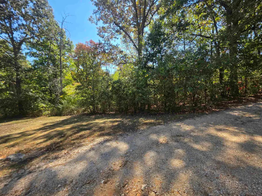 L1 B5 Timberlane Drive, Highland, AR 72542 - #3