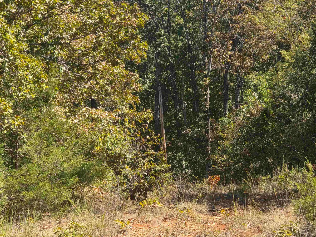 L5 B8 Dannels Drive, Highland, AR 72542 - #1