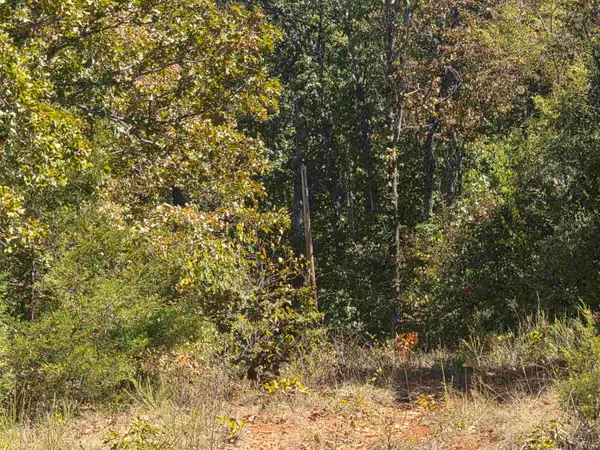 L5 B8 Dannels Drive, Highland, AR 72542