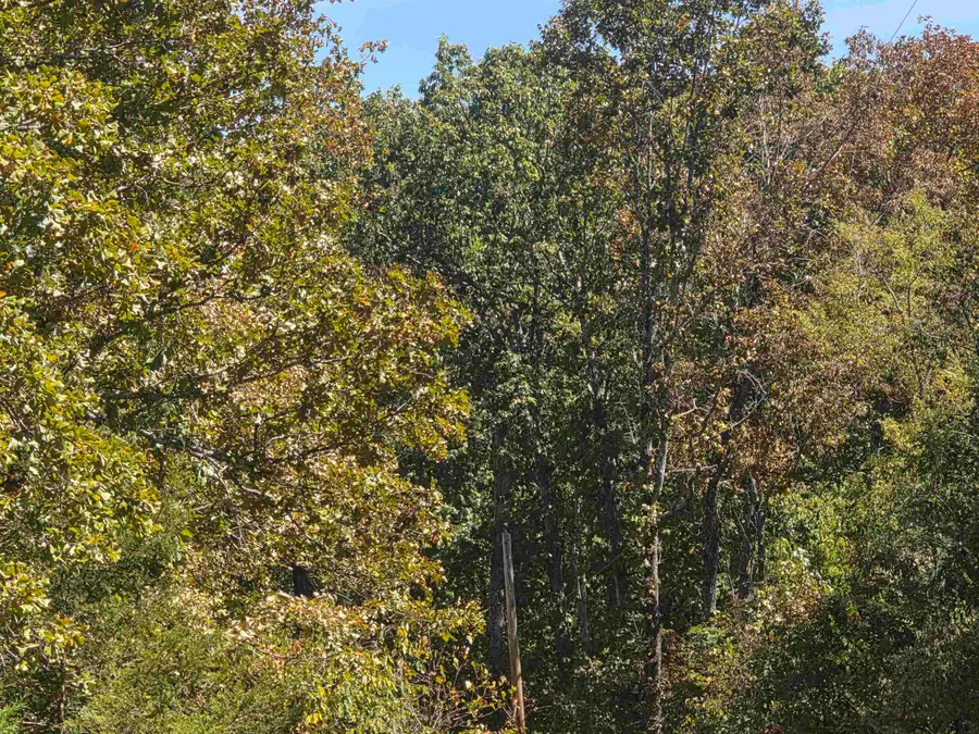 L5 B8 Dannels Drive, Highland, AR 72542 - #2
