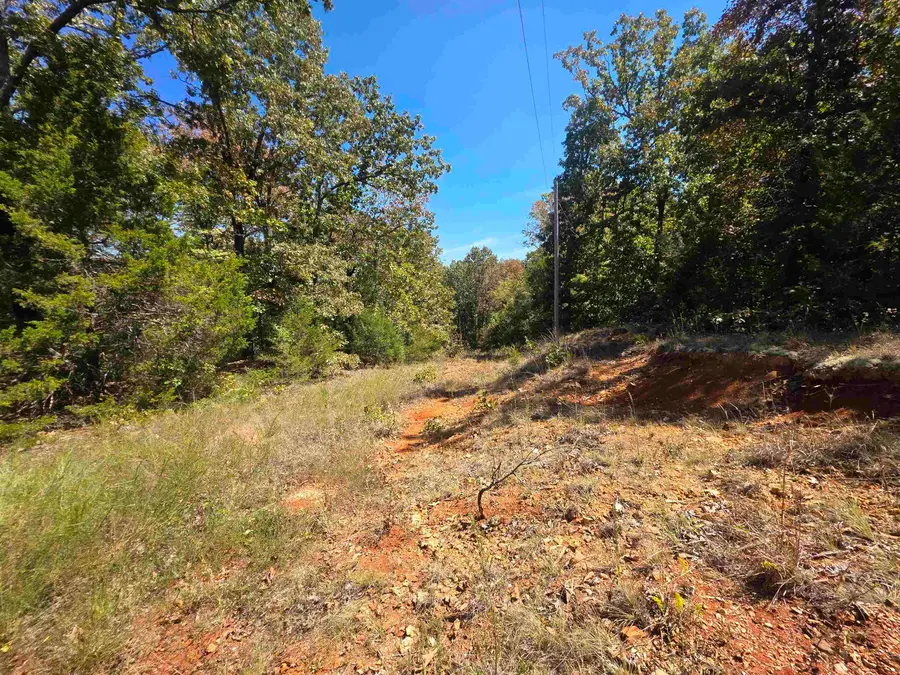 L5 B8 Dannels Drive, Highland, AR 72542 - #3