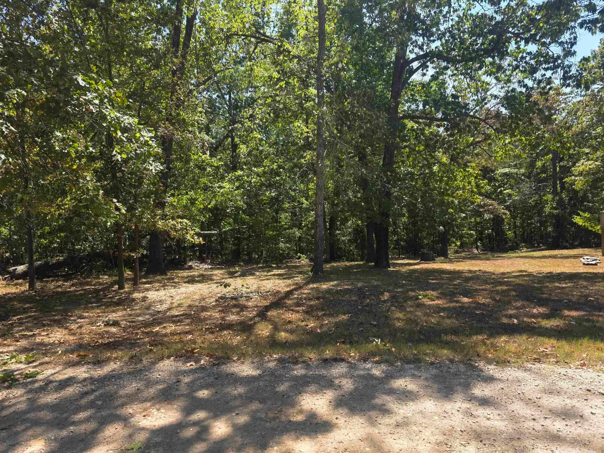 L-7, B-3 Moore Road, Highland, AR 72542 - #1