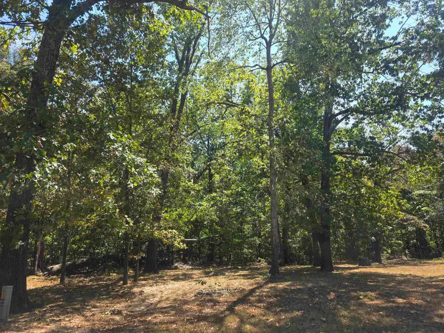 L-7, B-3 Moore Road, Highland, AR 72542 - #2