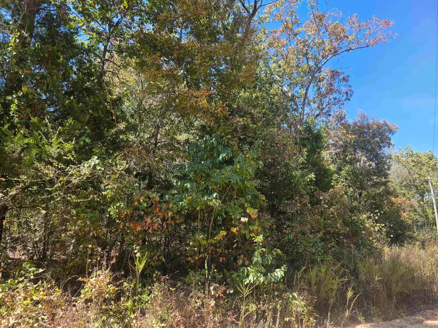 L-1, B-1 Northwood Drive, Highland, AR 72542 - #2